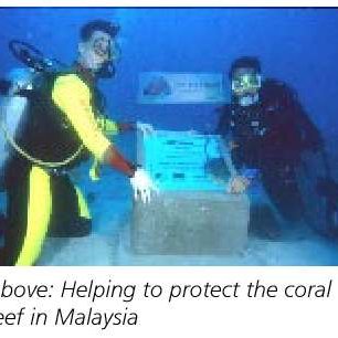 Tioman Island DHL Reef Restoration Program with Reef Balls