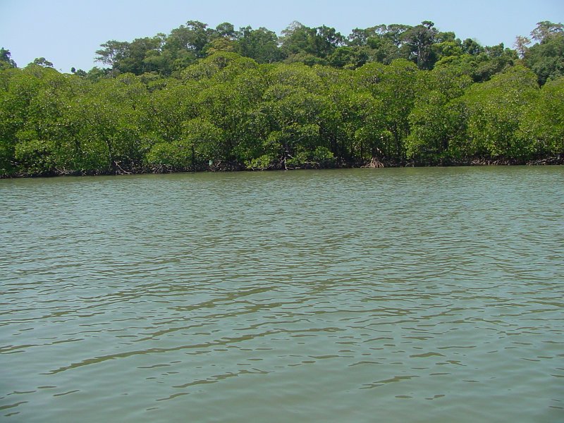 DSC01481