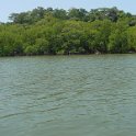 DSC01481