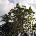 DSC01500