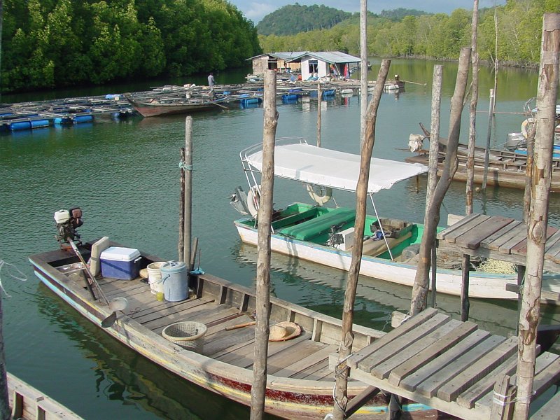 dsc00006