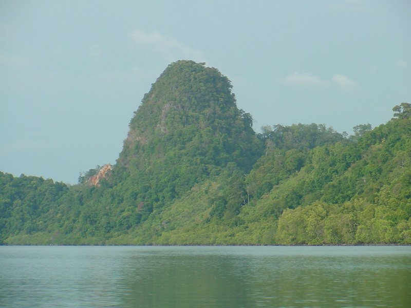 dsc00011 