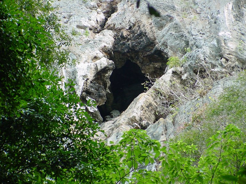 dsc00016