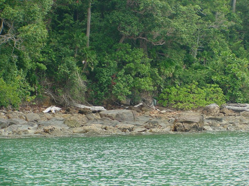 dsc00050
