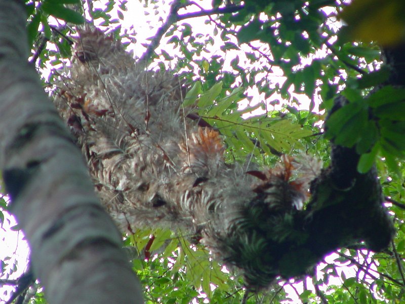 dsc00008 