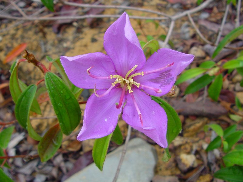 dsc00012