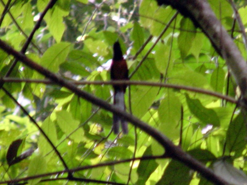 dsc00030