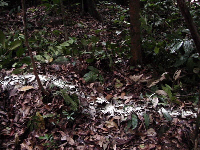 dsc00033