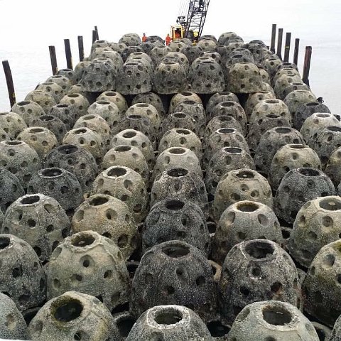 Malaysian Reef Ball Projects and Photos Malaysian Reef Ball Projects and Photos