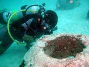 coralplanting