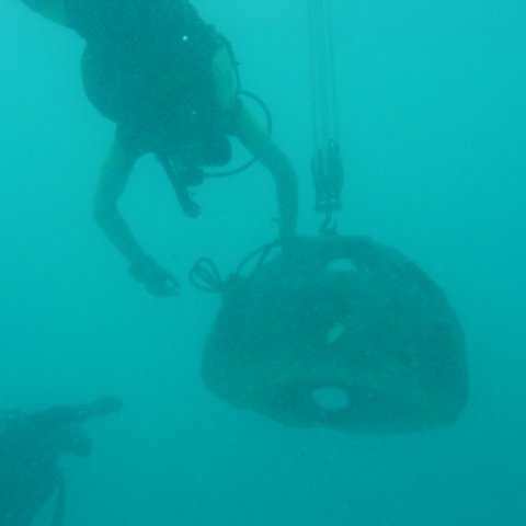 dive_with_rb
