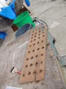 coralpropagation