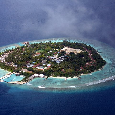 coralsurverynevisfourseasons_021 coralsurverynevisfourseasons_021