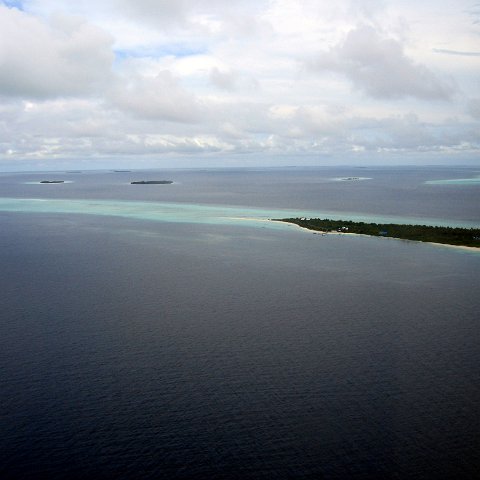 coralsurverynevisfourseasons_025 coralsurverynevisfourseasons_025