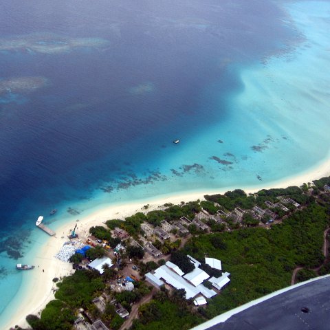coralsurverynevisfourseasons_027 coralsurverynevisfourseasons_027