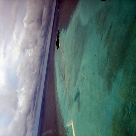 coralsurverynevisfourseasons_028 coralsurverynevisfourseasons_028