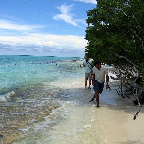 coralsurverynevisfourseasons_039 coralsurverynevisfourseasons_039