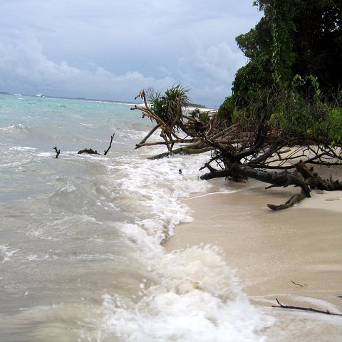 coralsurverynevisfourseasons_150 coralsurverynevisfourseasons_150