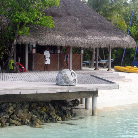 coralsurverynevisfourseasons_186 coralsurverynevisfourseasons_186
