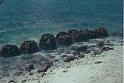 tari_on_water