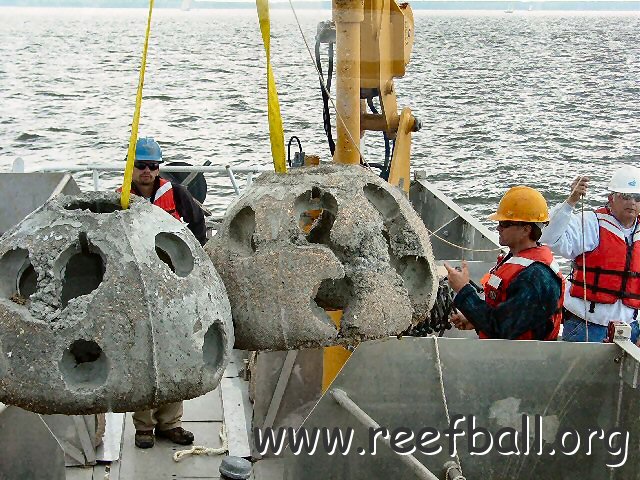 Hollicutts Noose Reef Ball Deployment with CBF