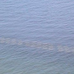 dscn2755 dscn2755