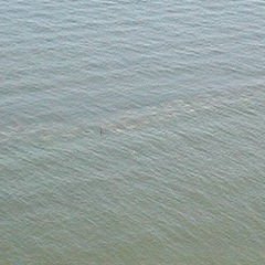 dscn2757 dscn2757