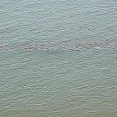 dscn2795 dscn2795