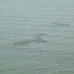 dscn2801 dscn2801