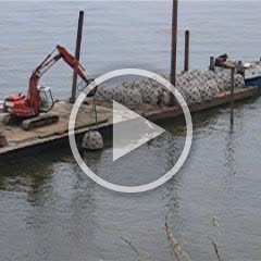 mvi_1092 mvi_1092