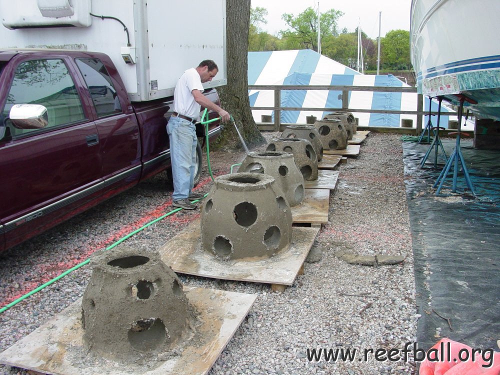 paul_spadaro_washing_mini_bay_balls_4-25_ferry_point_marina_1.jpg
