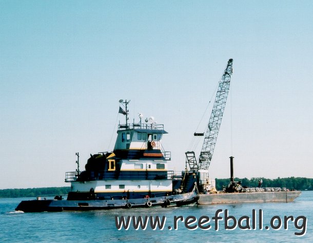 bay_ball_installation_at_mill_hill_oyster_reef 