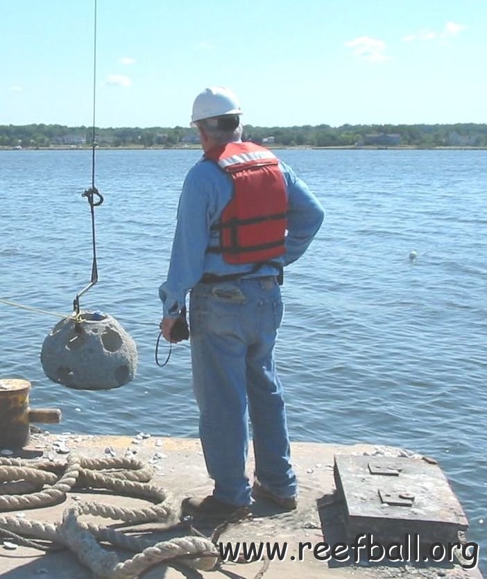 wayne_watching_bay_ball_placement