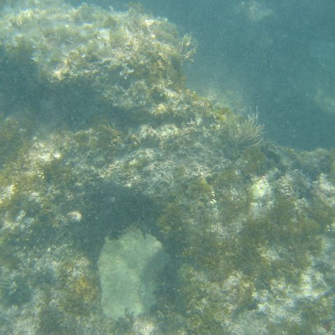 2005Aug4MX 002 2005Aug4MX 002