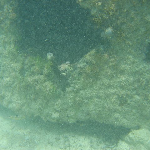 2005Aug4MX 006 2005Aug4MX 006