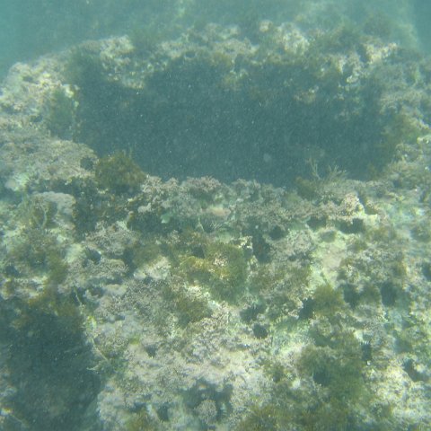2005Aug4MX 007 2005Aug4MX 007