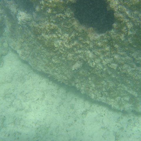2005Aug4MX 010 2005Aug4MX 010