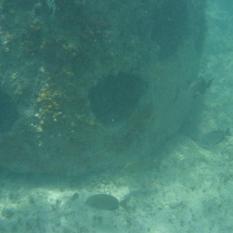 2005Aug4MX 011 2005Aug4MX 011