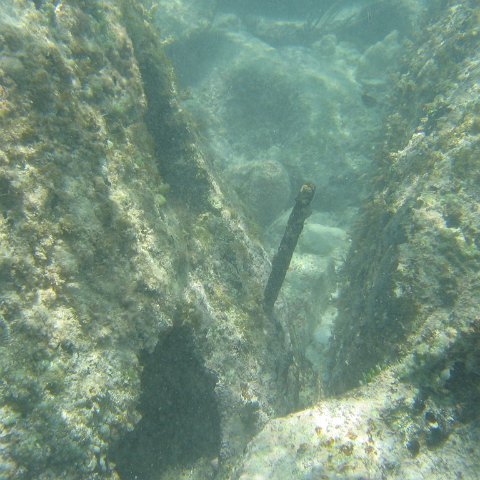 2005Aug4MX 012 2005Aug4MX 012