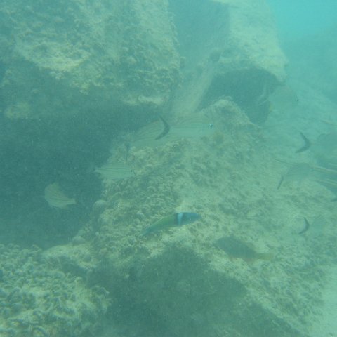 2005Aug4MX 013 2005Aug4MX 013