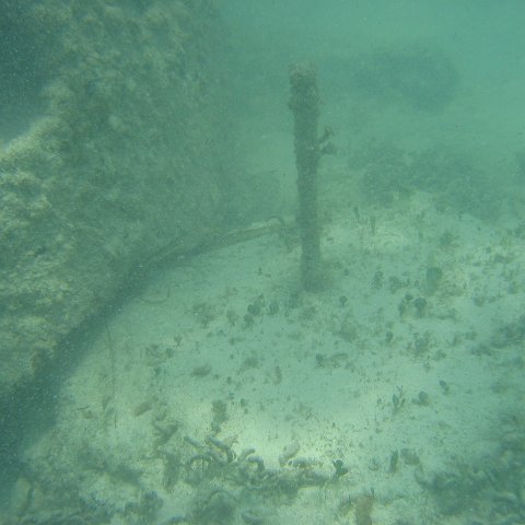 2005Aug4MX 014 2005Aug4MX 014