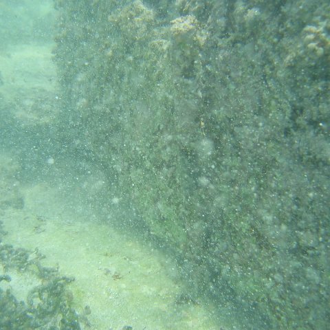 2005Aug4MX 015 2005Aug4MX 015