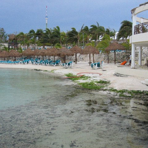 2005Aug4MX 034 2005Aug4MX 034
