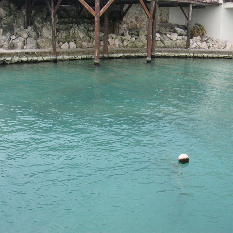 2005Aug4MX 039 2005Aug4MX 039