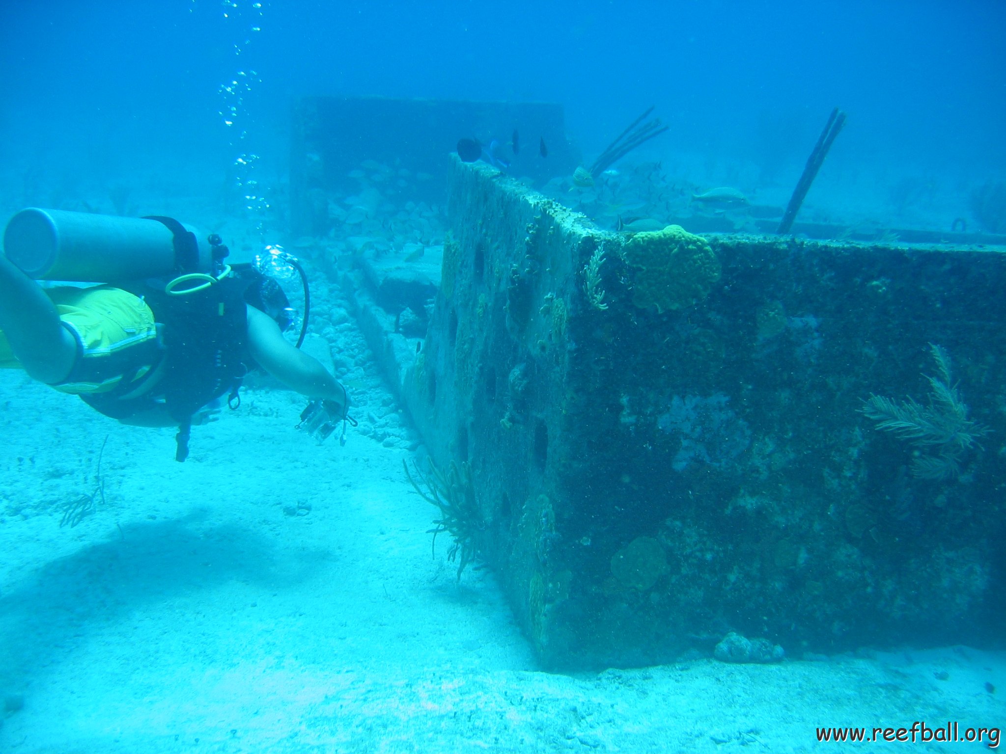 2005Aug5 Cancun 096