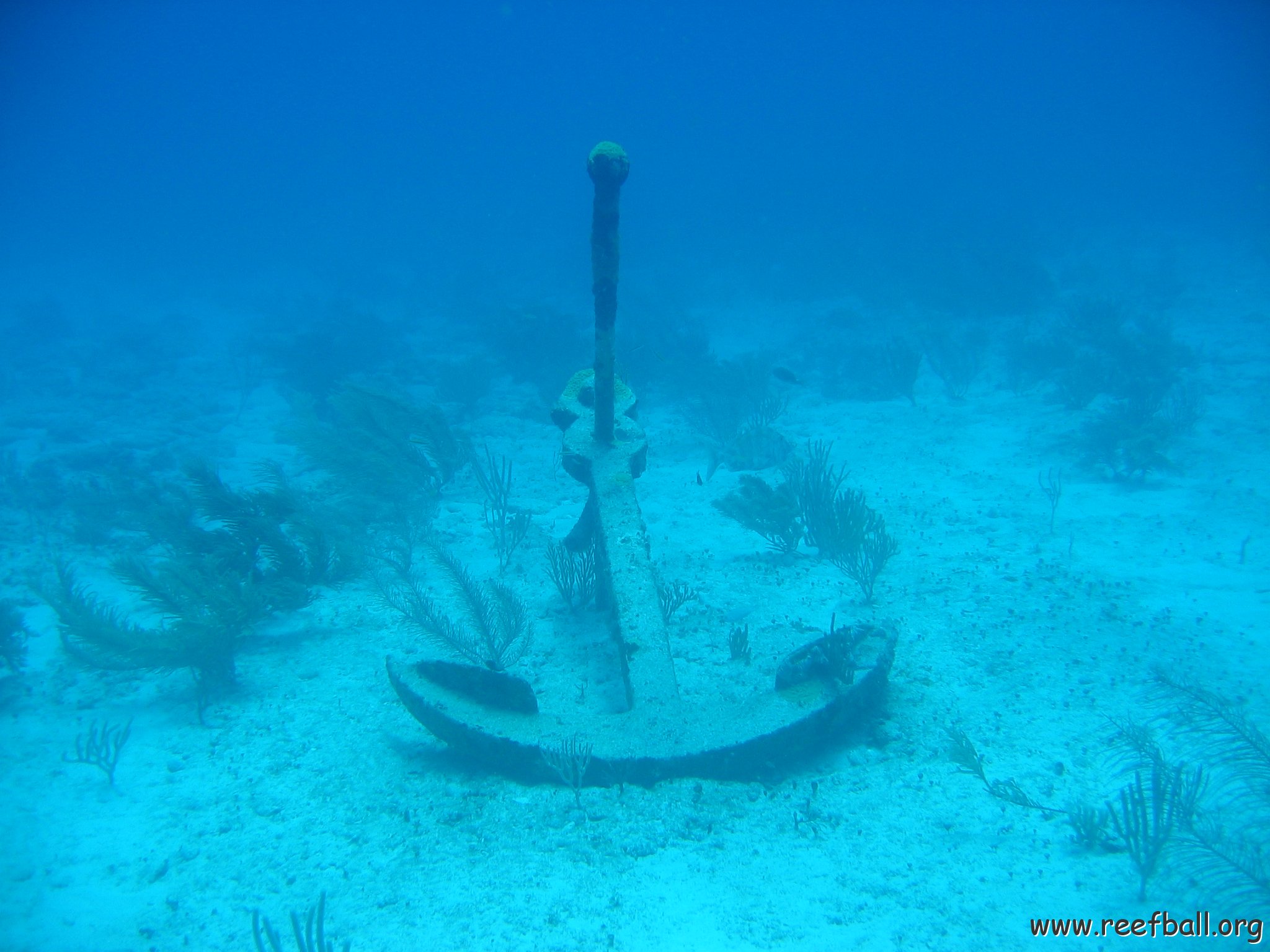 2005Aug5 Cancun 128