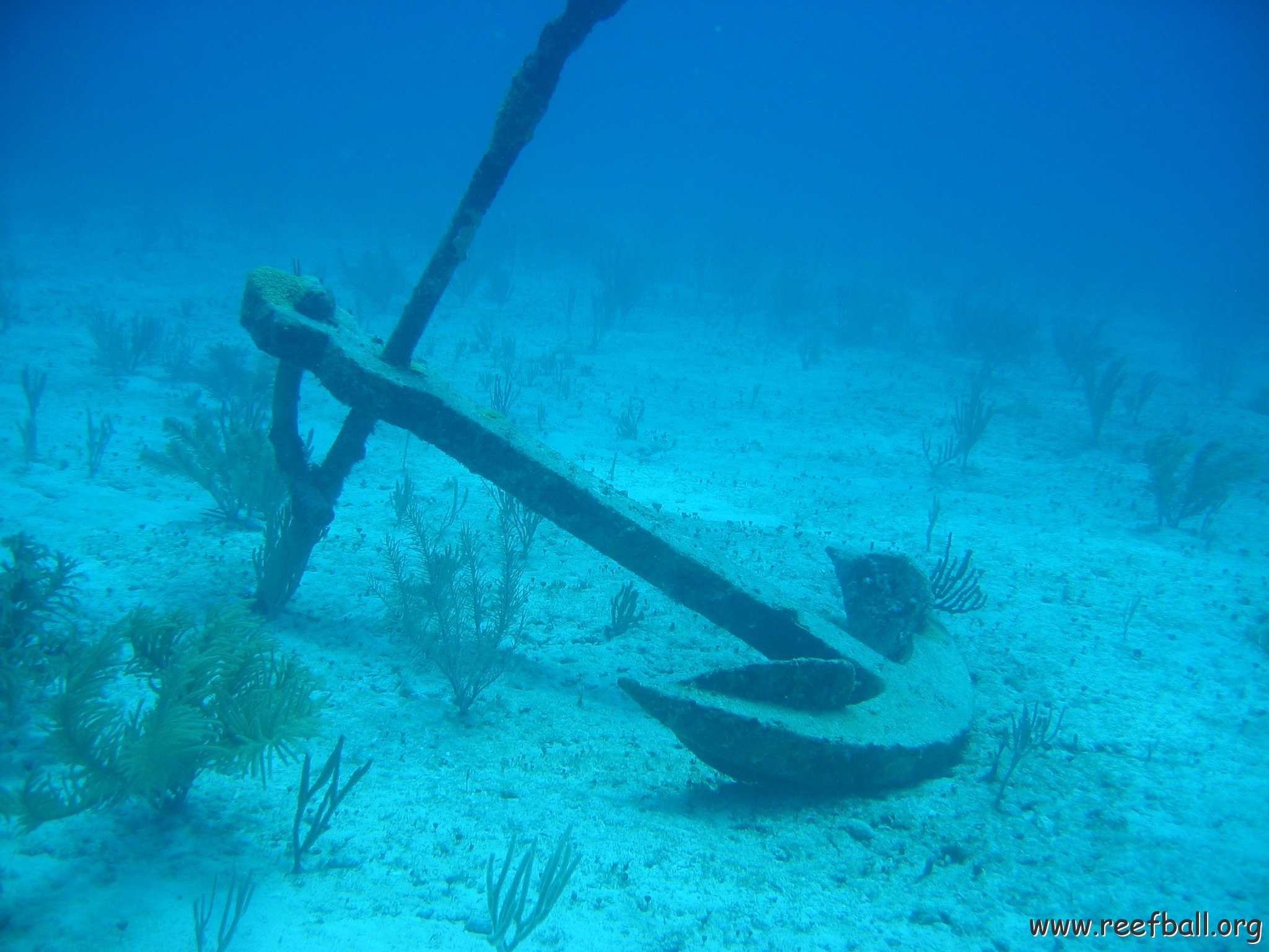 2005Aug5 Cancun 129