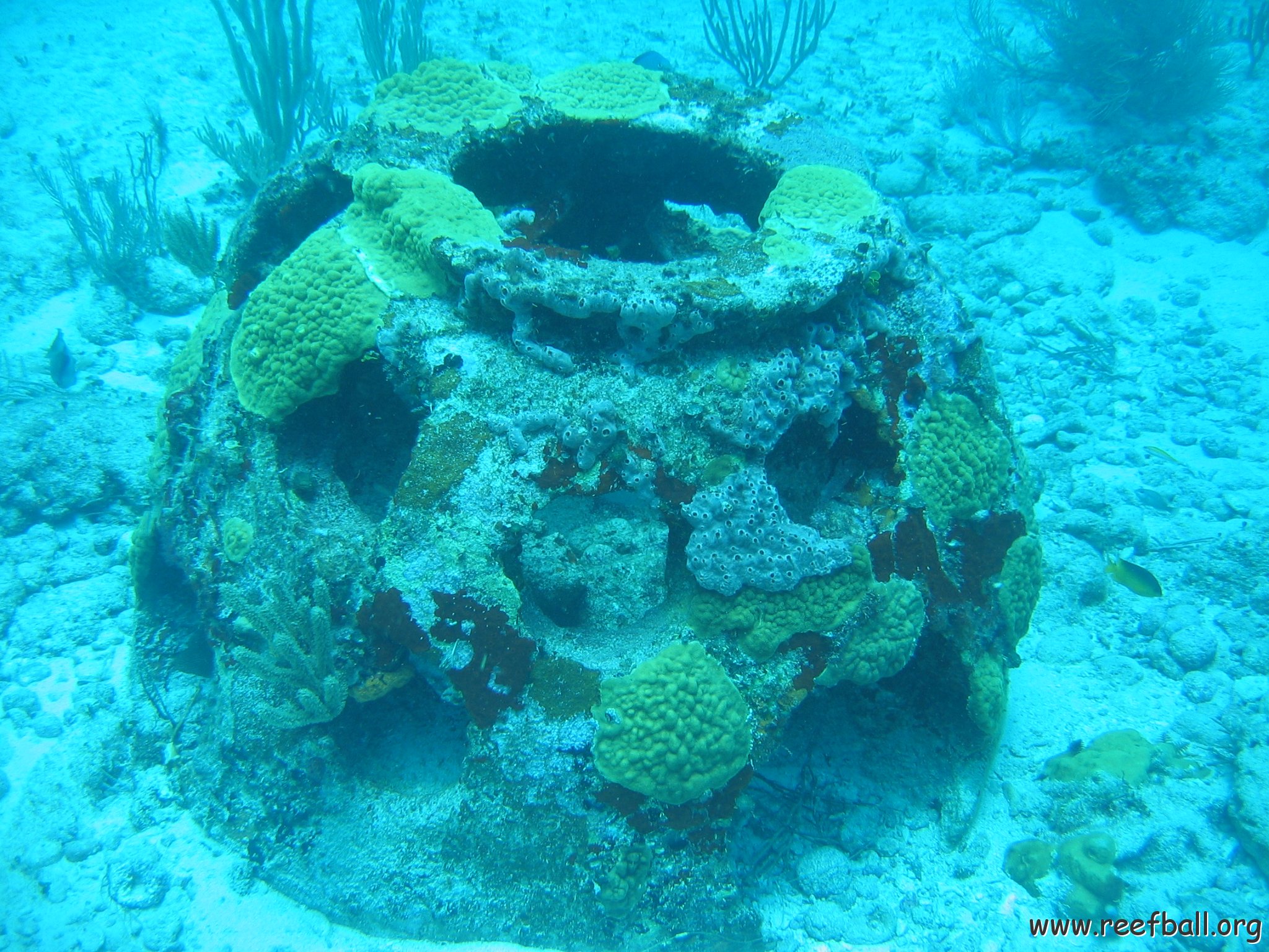 2005Aug5 Cancun 131