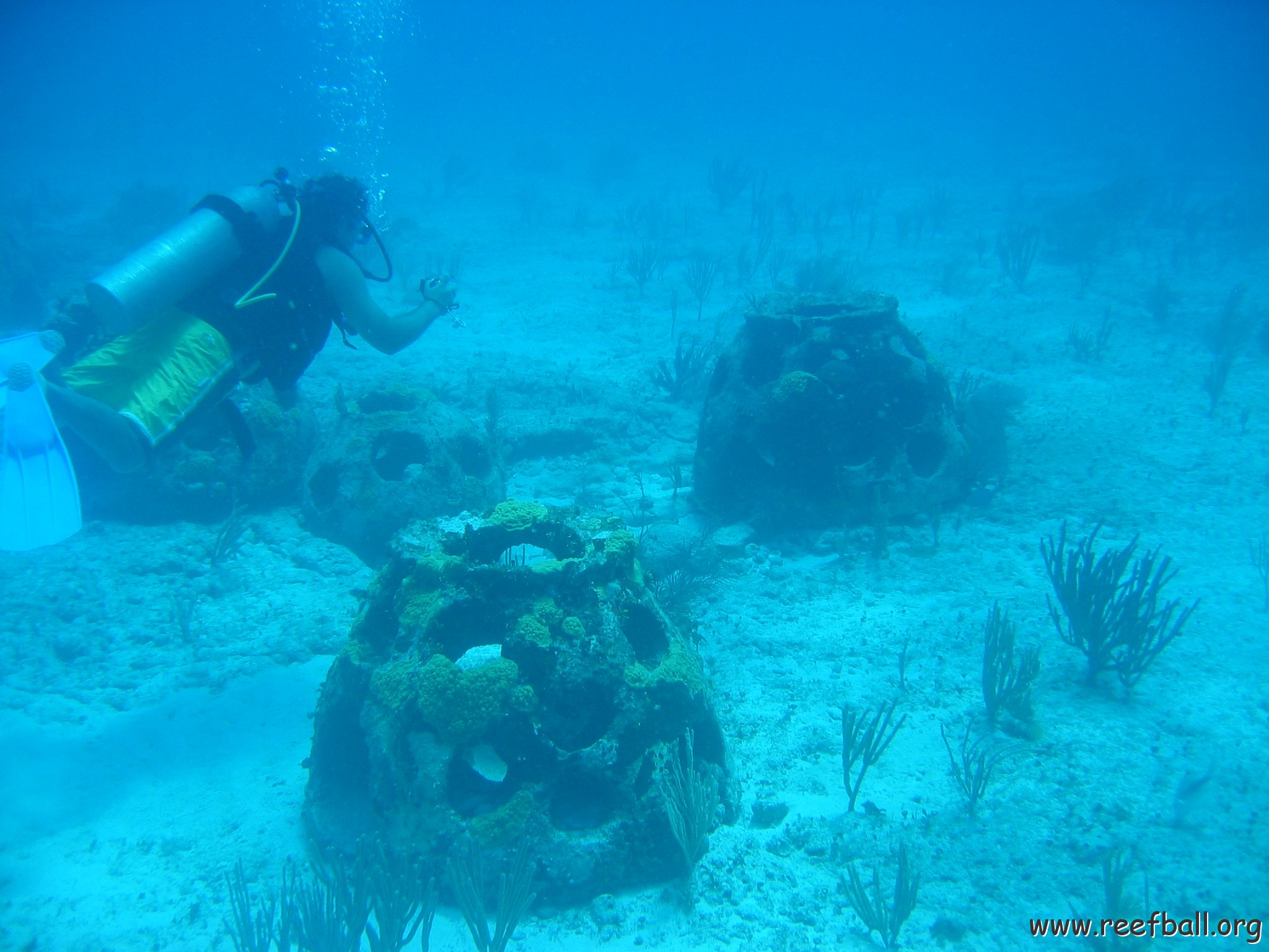 2005Aug5 Cancun 151