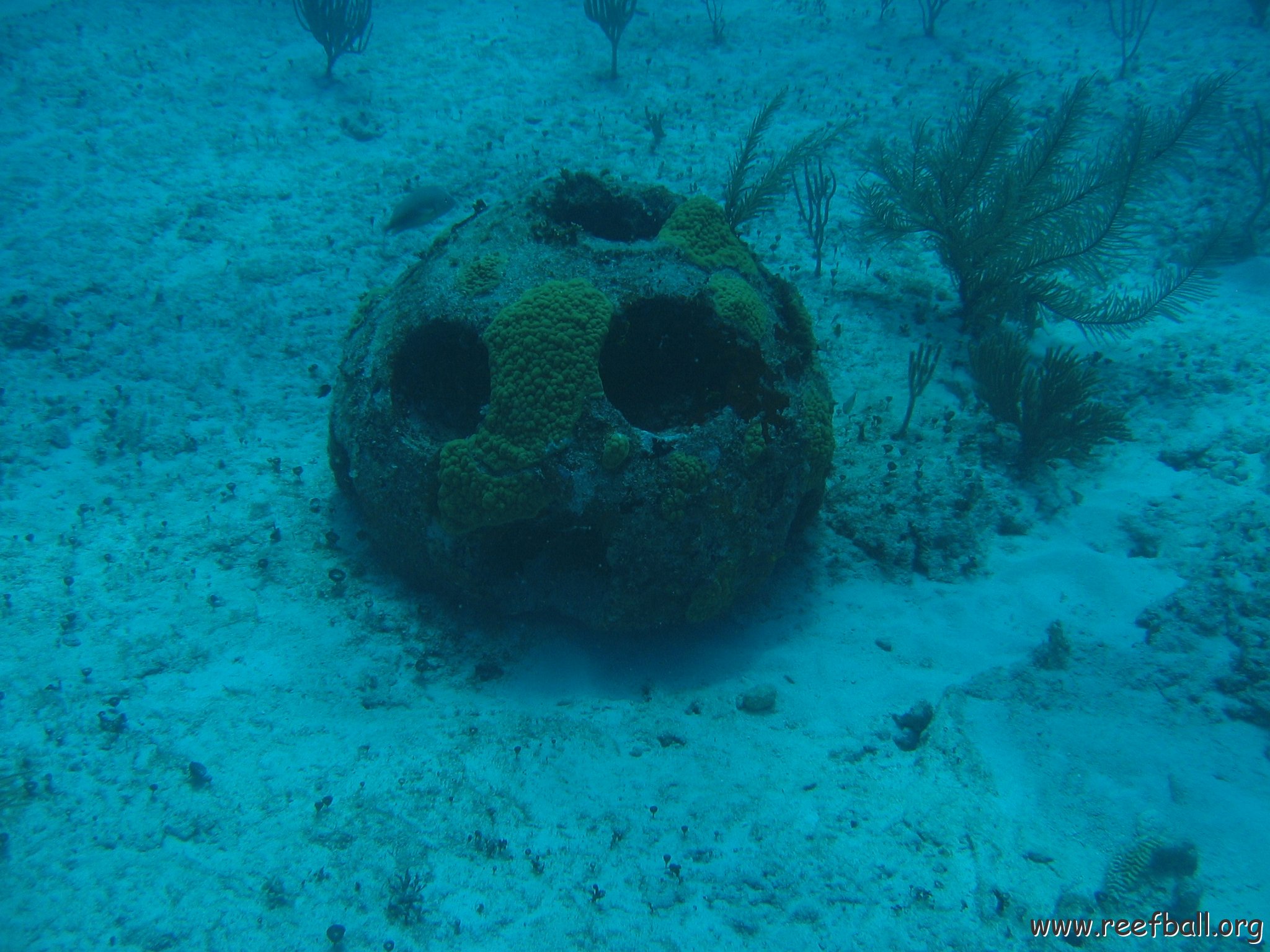 2005Aug5 Cancun 152